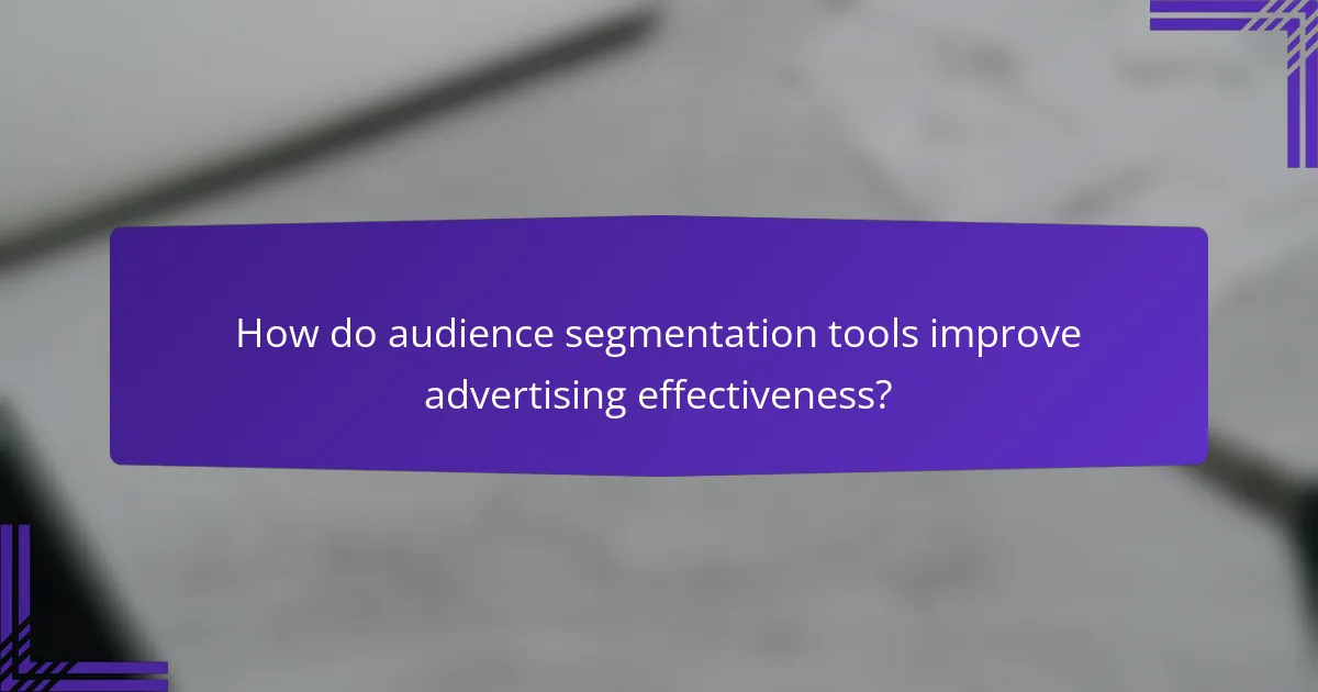 How do audience segmentation tools improve advertising effectiveness?
