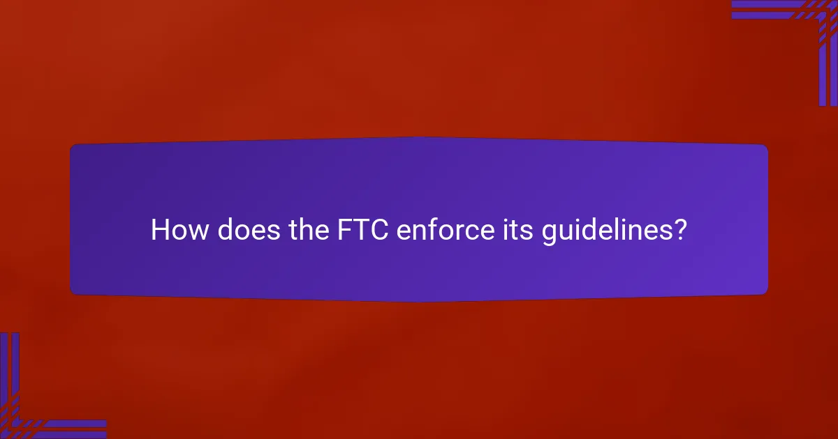 How does the FTC enforce its guidelines?