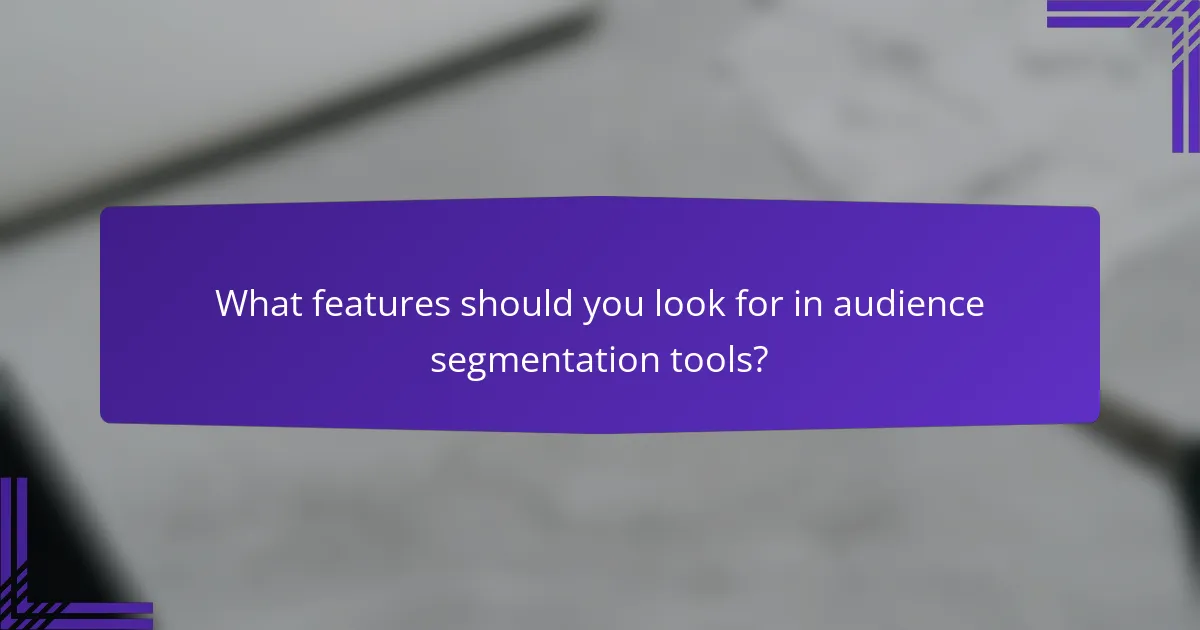What features should you look for in audience segmentation tools?